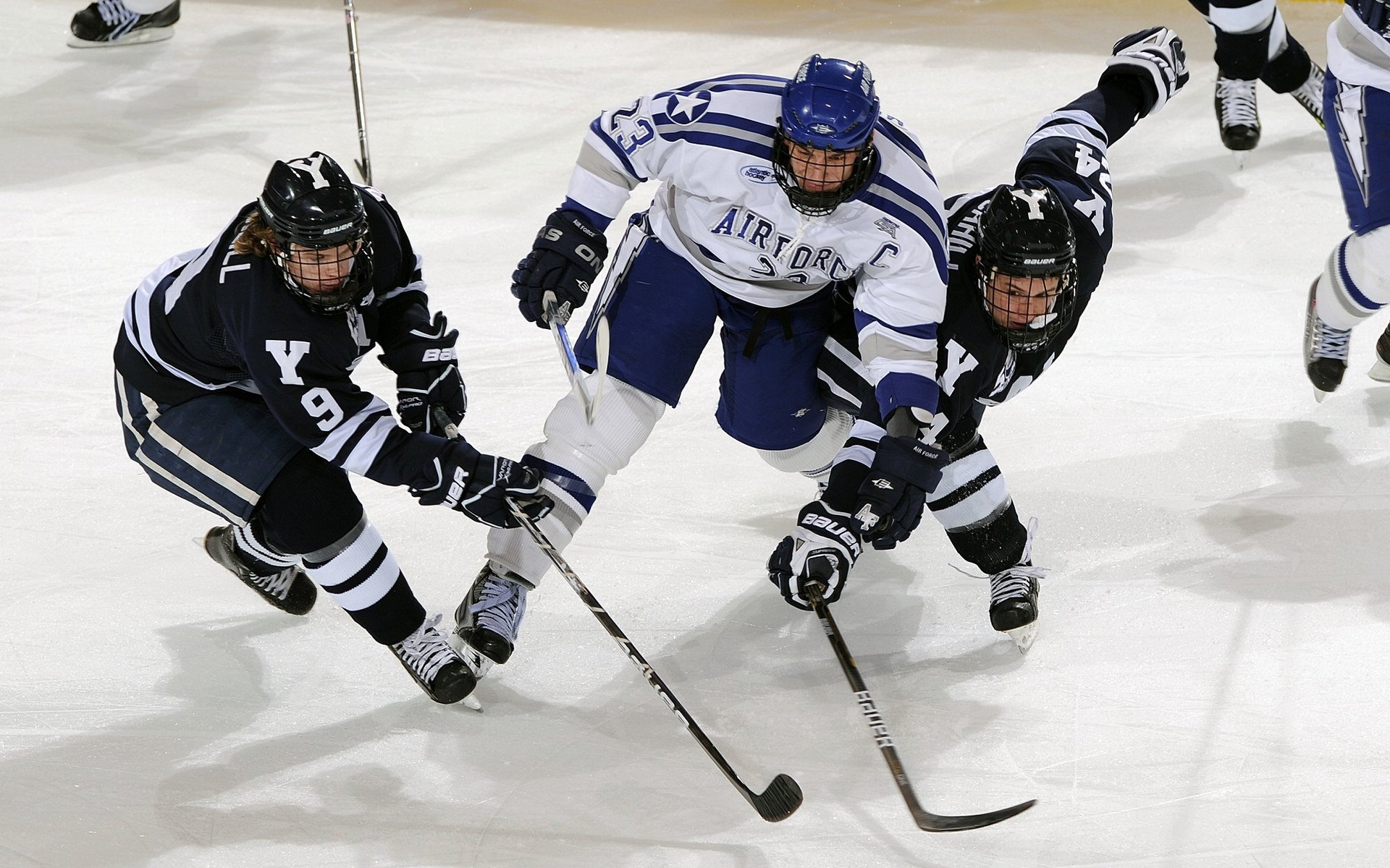 世界杯攻城略地：队长与明星的辉煌时刻，世界杯队伍规则