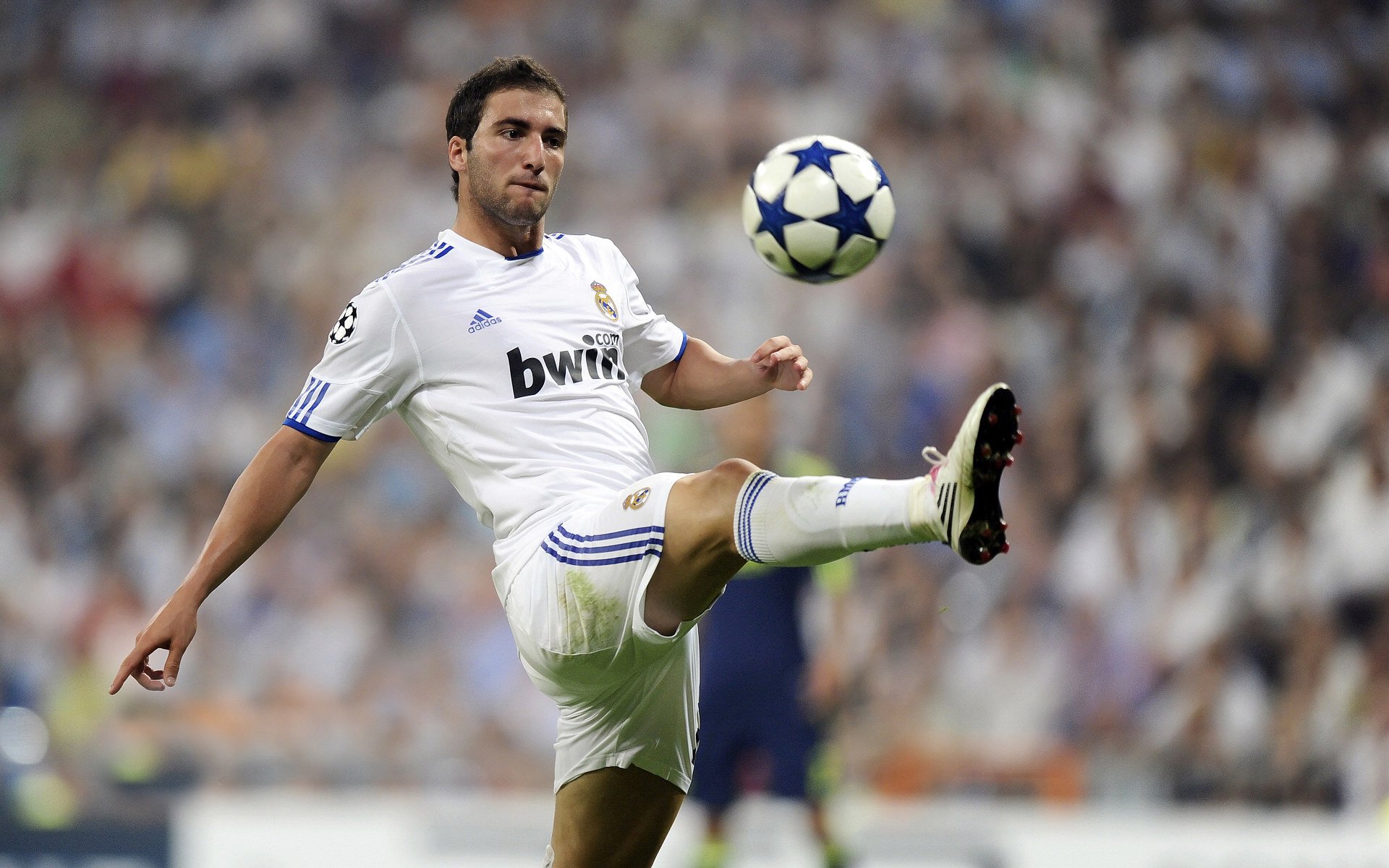 开云电子-中国足球人才培养计划发布，中国足球人才储备